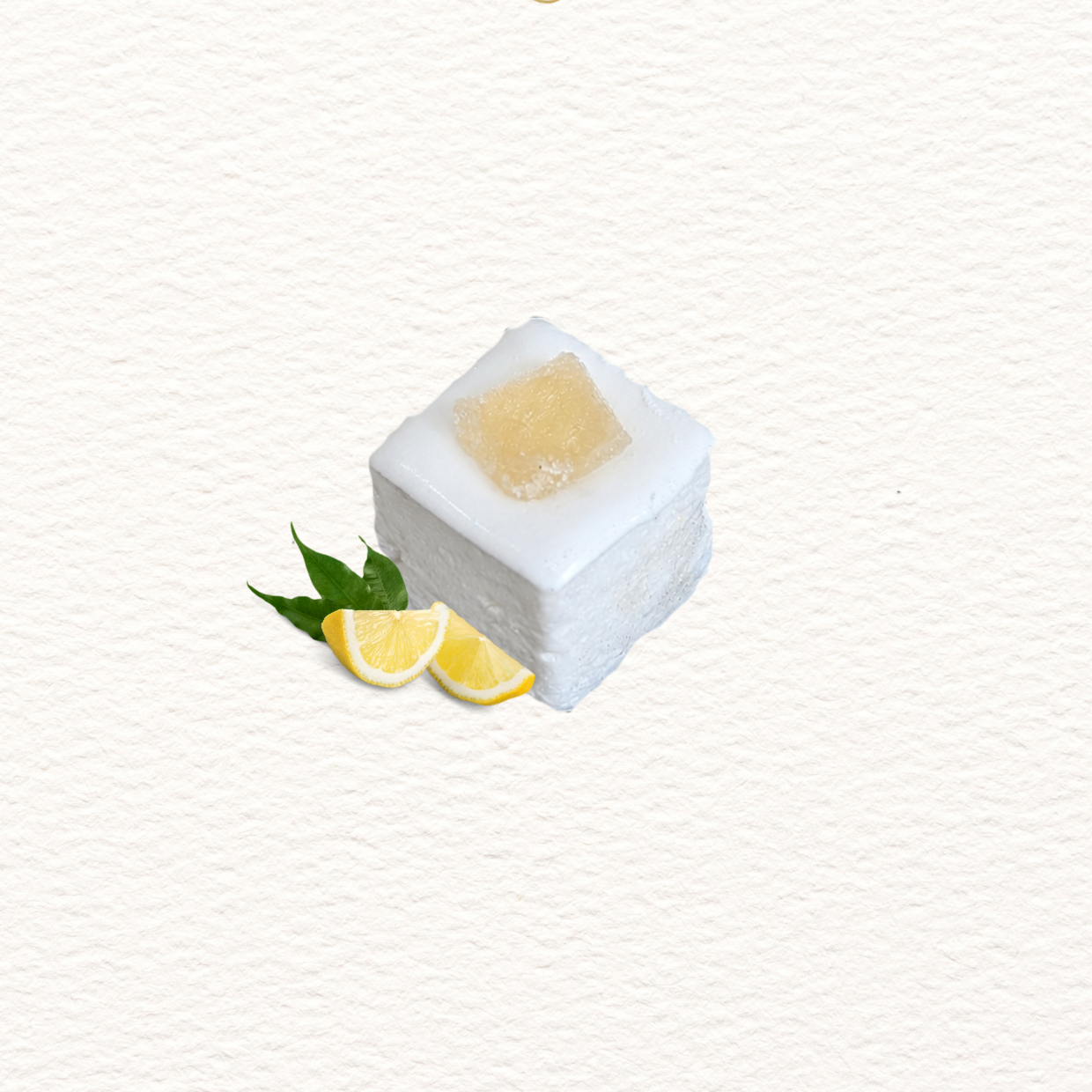 Square white marshmallow with lemon slices and leaves on a light gray background, branded 'Marshmallow M.'